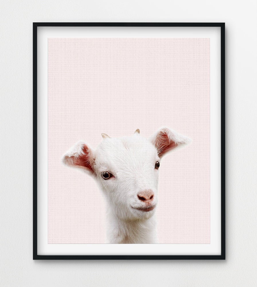 Baby Goat Print Pink Nursery Wall Art Farm Animal Prints Etsy España