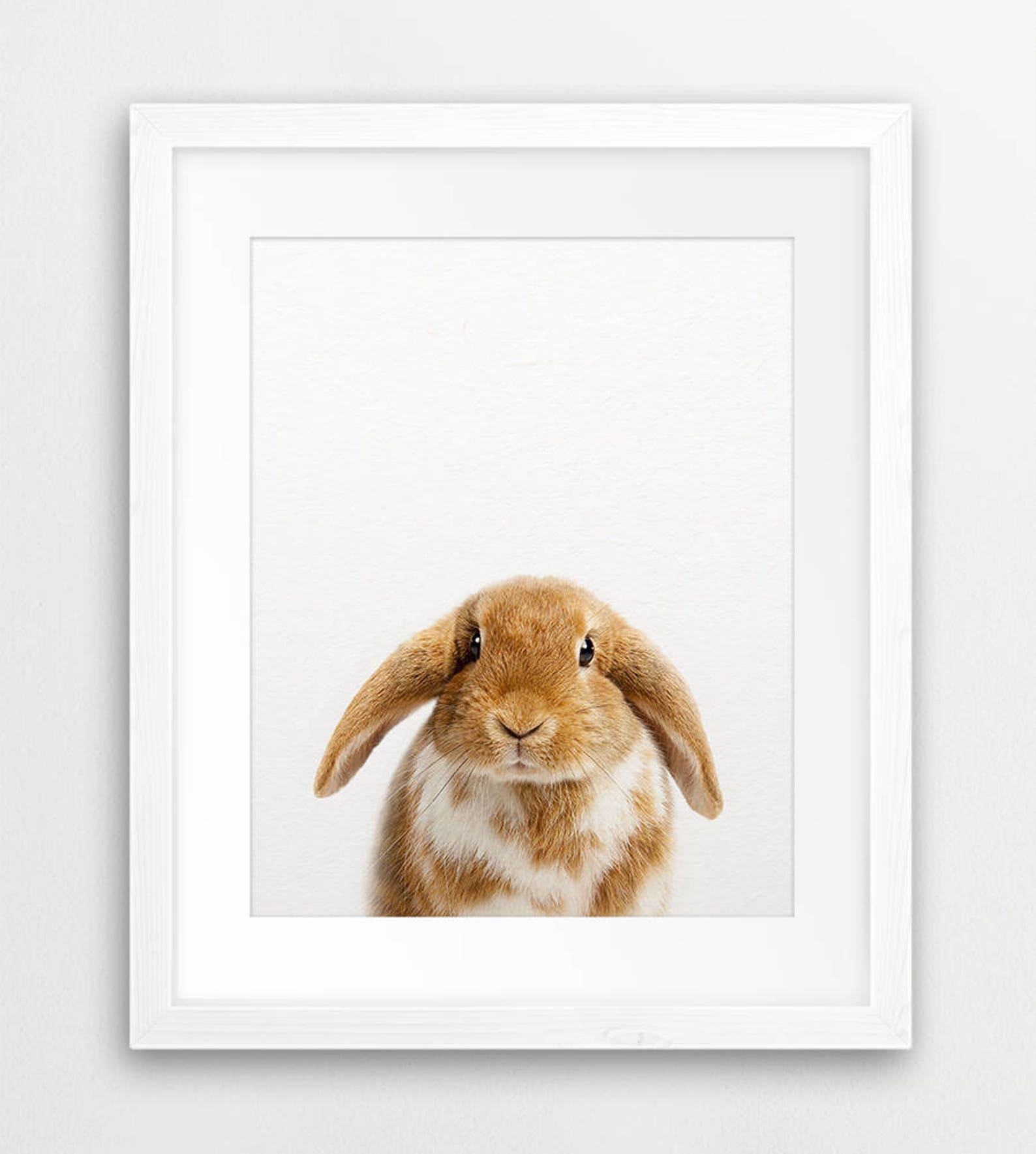 Bunny Print Nursery Wall Art Rabbit Print Woodland Nursery Etsy