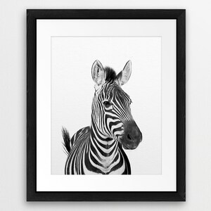 Zebra Print, Safari Animals Art, Nursery Wall Art, Black & White, Safari Nursery Decor, Safari Animal Prints, Modern Art, Kids Printable Art image 3