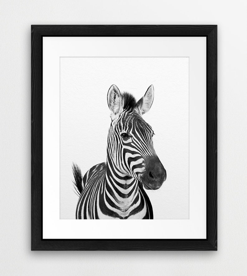 Zebra Print, Safari Animals Art, Nursery Wall Art, Black & White, Safari Nursery Decor, Safari Animal Prints, Modern Art, Kids Printable Art image 3