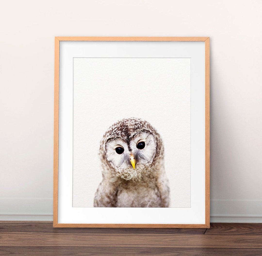 Owl Print, Nursery Wall Art, Baby Owl Art, Baby Animals, Nursery Art