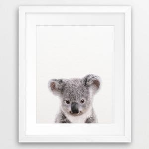 Baby Koala Print, Nursery Decor, Koala Bear, Koala Cub, Nursery Wall ...
