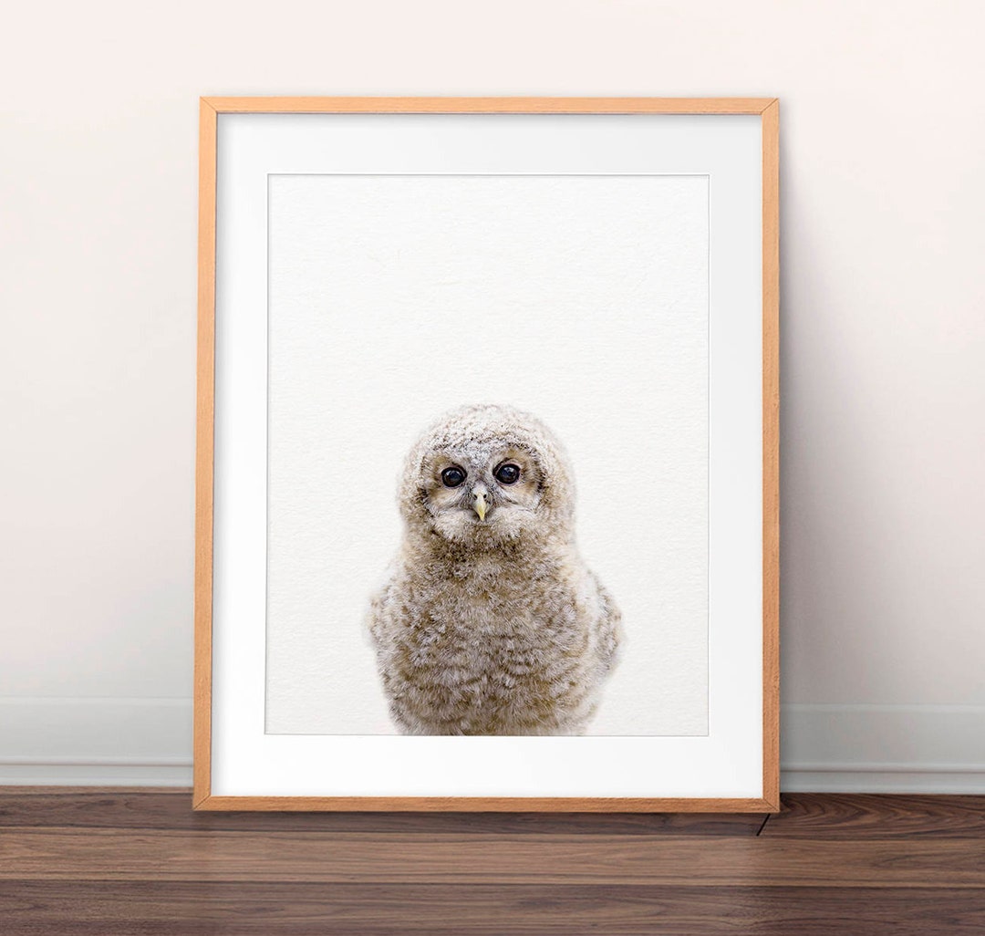 Baby Owl Print Nursery Wall Art Baby Owl Art Nursery Art Etsy