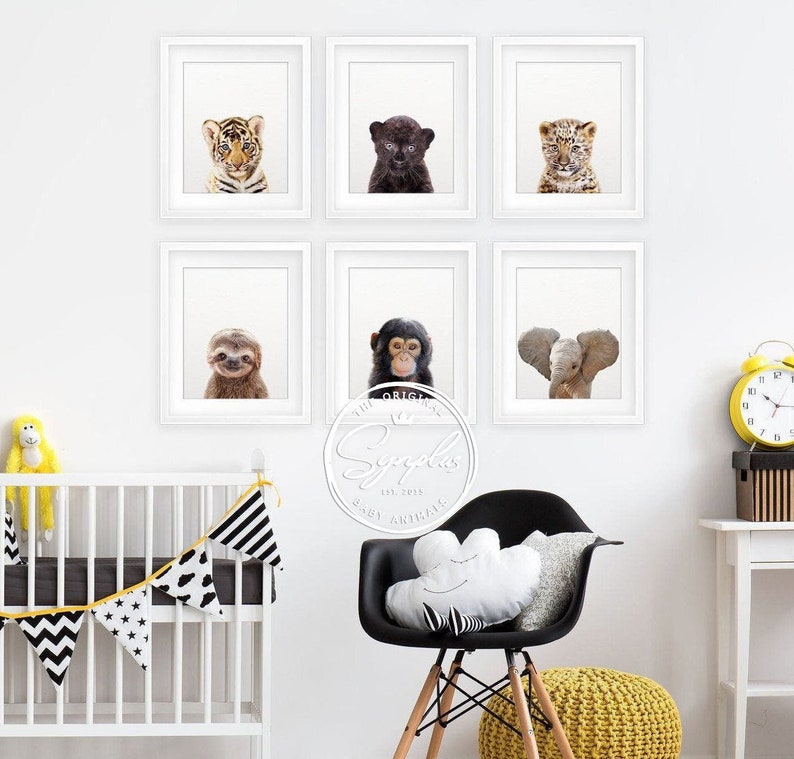 Nursery Decor Jungle Animal Prints Baby Animals Set 6 Tiger Etsy