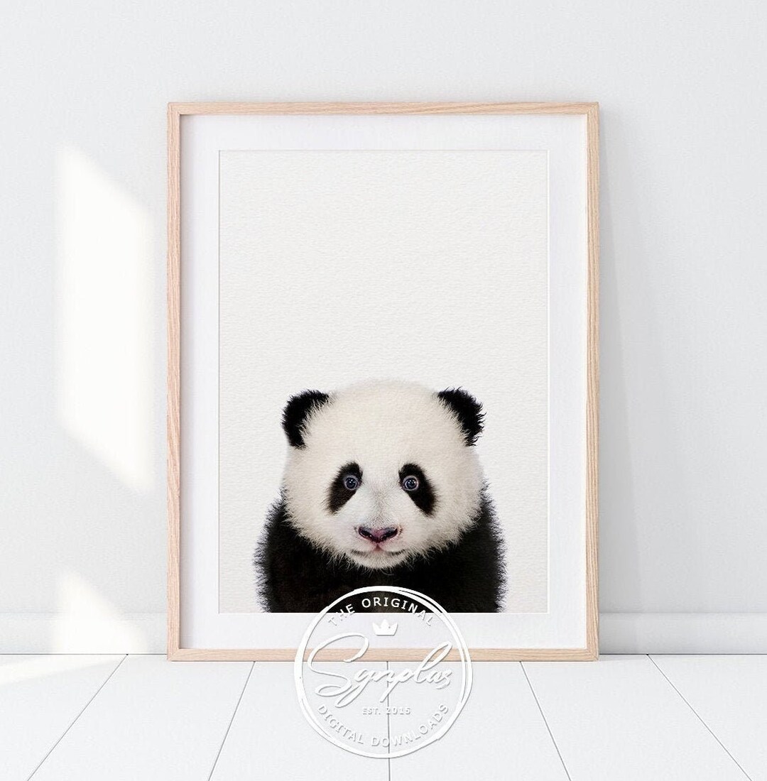 Baby Panda Bear Print, Nursery Wall Art, Baby Animals, Cute Panda Art ...