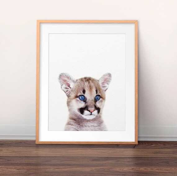 Buy Puma Print Cougar Cub Wall Art Baby Puma Print Woodland Online in India - Etsy Buy Puma Print Cougar Cub Wall Art Baby Puma Print Woodland Online in India - Etsy