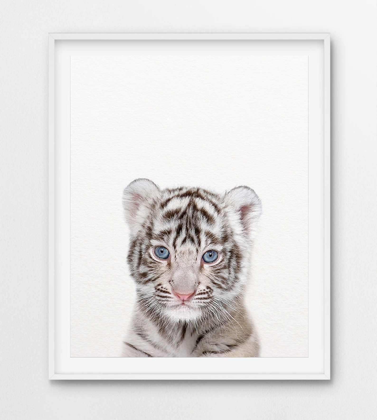 Tiger Print White Tiger Cub Art Baby Animal Prints Woodland Etsy UK