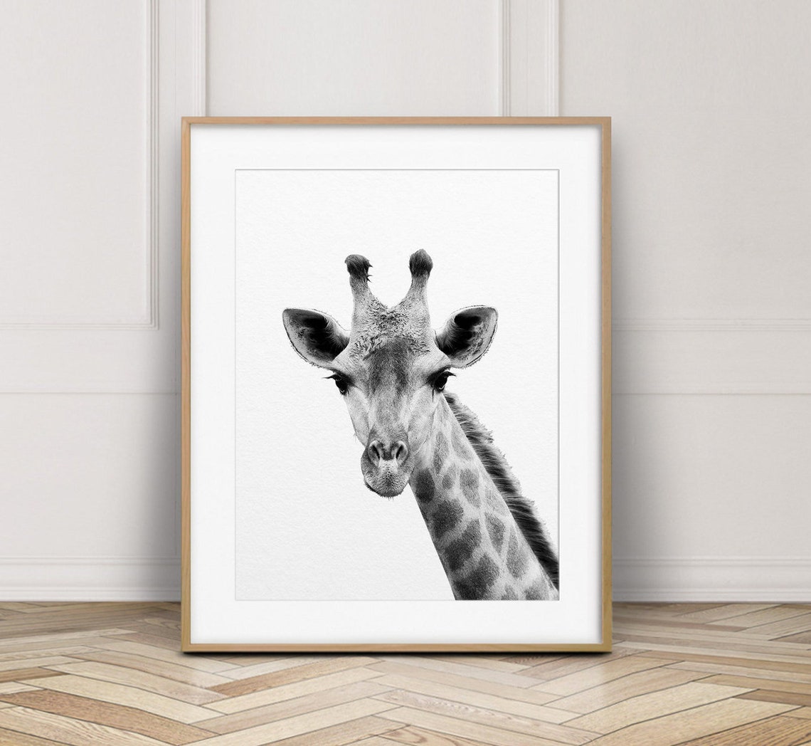 Giraffe Print Giraffe Wall Art Black and White Animals Etsy