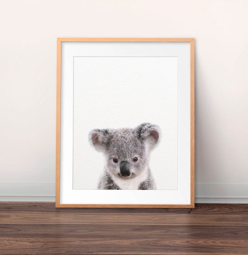 May include: A framed print of a cute koala bear with gray fur and black eyes looking directly at the camera. The background is white.