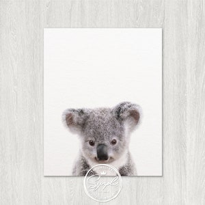 Baby Koala Print, Nursery Decor, Koala Bear, Koala Cub, Nursery Wall ...