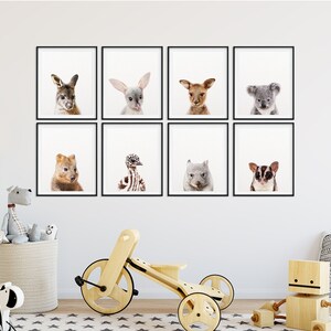 May include: A set of nine black framed prints featuring various Australian animals, including a kangaroo, a wombat, a koala, a sugar glider, an echidna, and a quokka. The prints are arranged in a grid pattern on a white wall.