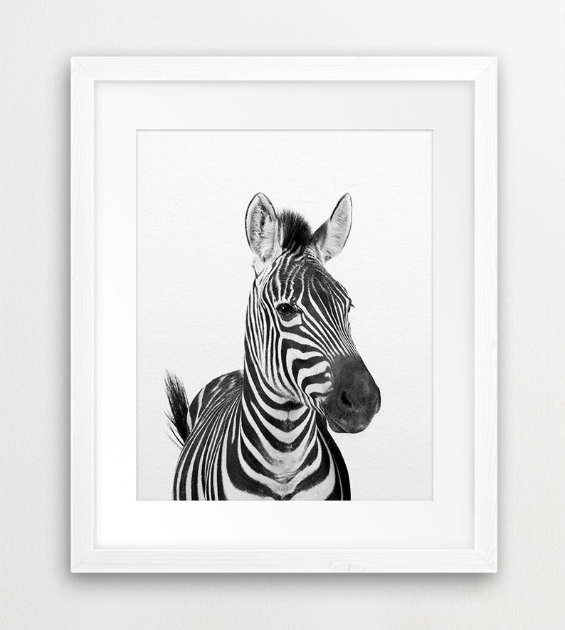 Zebra Print, Safari Animals Art, Nursery Wall Art, Black & White, Safari Nursery Decor, Safari Animal Prints, Modern Art, Kids Printable Art image 2