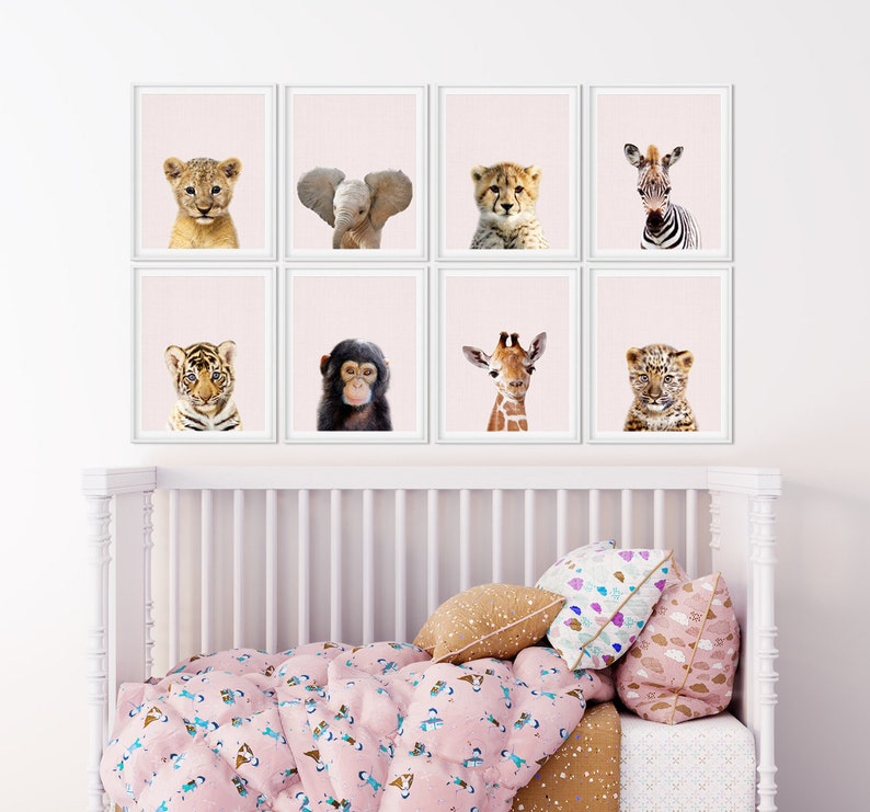Zebra Print Safari Nursery Decor Baby Animals Safari Animal Etsy