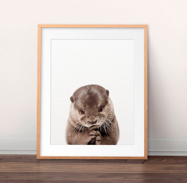 May include: A framed print of a cute otter with brown fur, looking directly at the camera with its paws clasped together. The otter is on a white background.