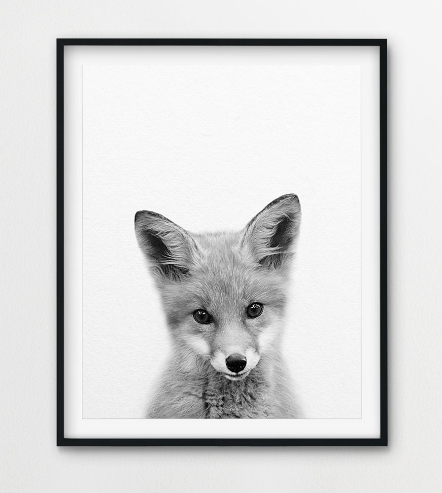 Fox Print Fox Cub Art Baby Animals Black & White Woodland Etsy