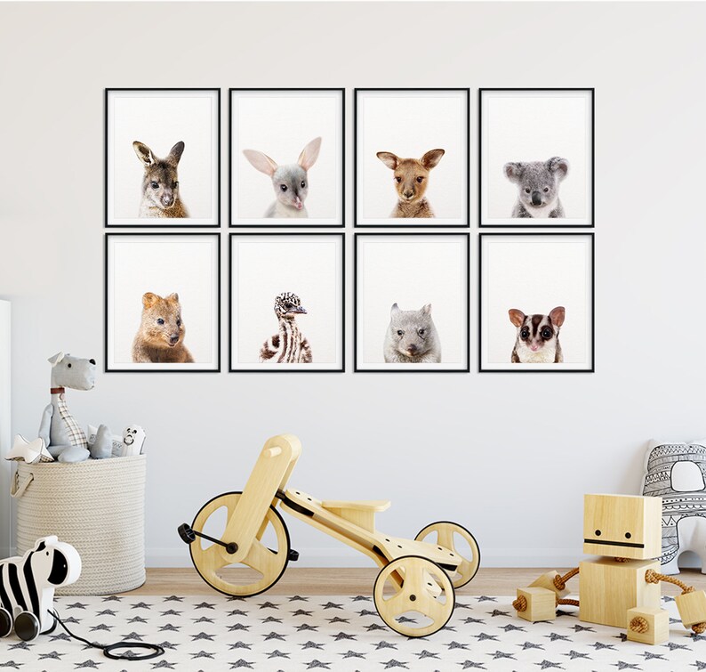 Puede incluir: Un conjunto de ocho impresiones de animales enmarcadas que presentan varios animales australianos, incluyendo un canguro, un equidna, un wombat, un koala, un planeador de az&uacute;car y m&aacute;s. Las impresiones se muestran en una pared blanca en un entorno de guarder&iacute;a.