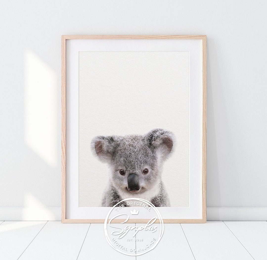 Baby Koala Print, Nursery Decor, Koala Bear, Koala Cub, Nursery Wall ...