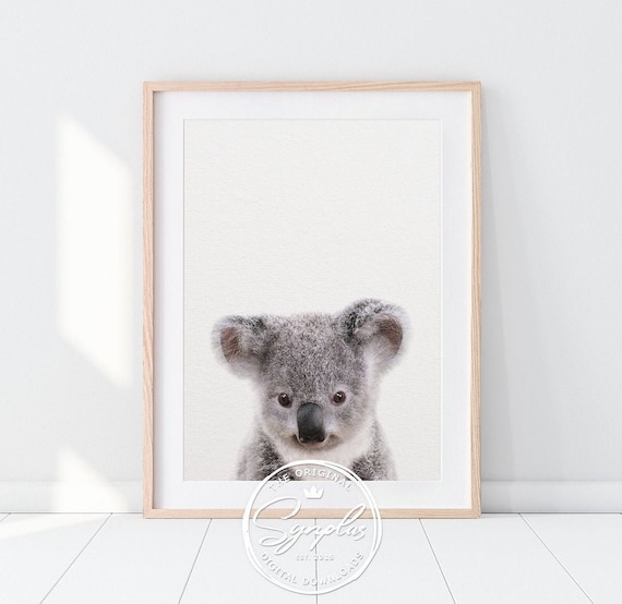 Baby Koala Print, Nursery Decor, Koala Bear, Koala Cub, Nursery Wall Art, Baby Animal Prints, Australian Animals, Kids Room Printable Art