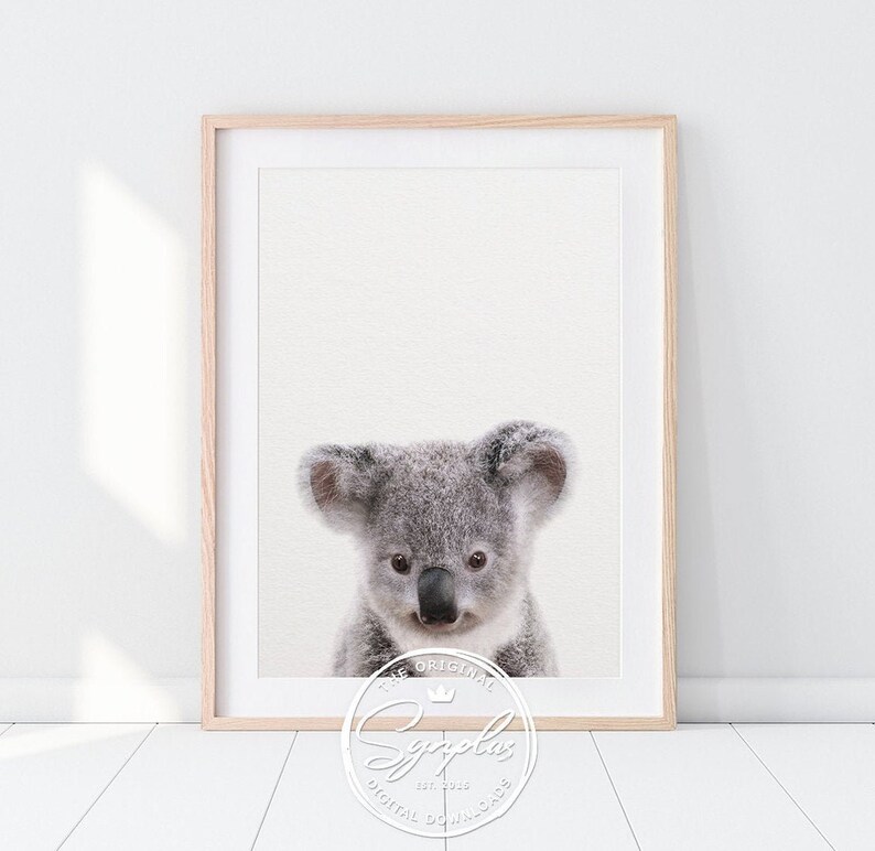 May include: A digital download of a watercolor illustration of a koala bear. The koala is looking directly at the viewer with a soft, gentle expression. The background is a light beige color.