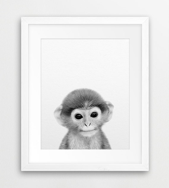 Impresion de mono arte de la pared del animal bebe animal de la selva africana decoracion