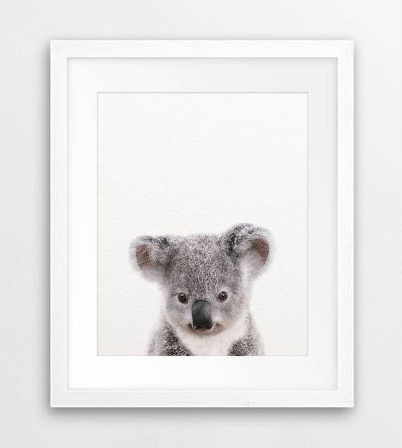Australian Animals Print Baby Animals Set 4 Nursery Decor Etsy