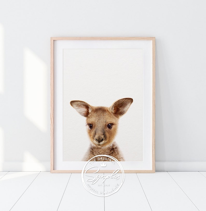 Australian Animal Print Nursery Decor Baby Animals Set 8 Etsy