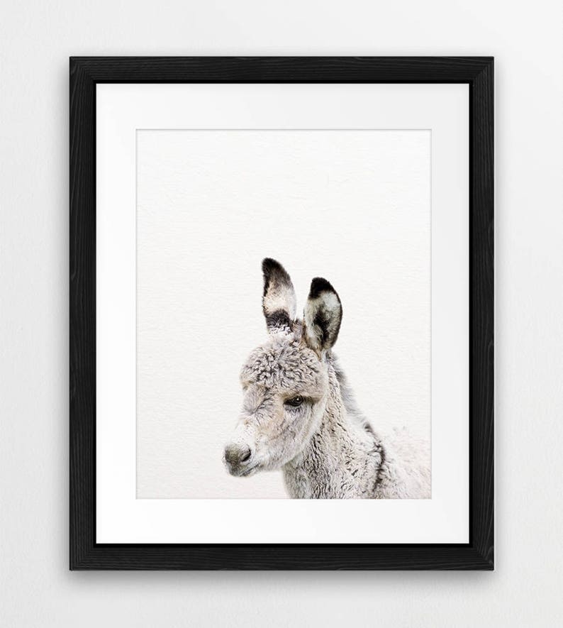 Donkey Print Baby Donkey Art Nursery Decor Baby Animals Etsy