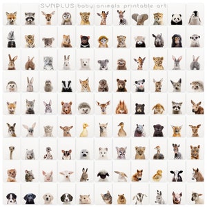 Puede incluir: Una cuadr&iacute;cula de 64 im&aacute;genes con animales beb&eacute;s, incluyendo un zorro, un mapache, un ciervo, una jirafa, una cebra, un elefante, un panda, un ping&uuml;ino, un tigre, un koala, un perezoso, un le&oacute;n, un conejo, un leopardo de las nieves, un oso polar, un canguro, un erizo, un tej&oacute;n, un lince, un oso, una zarig&uuml;eya, una ardilla, un erizo, un ciervo, una ardilla, un oso, un erizo, un ciervo, una ardilla, un oso, un erizo, un ciervo, una ardilla, un avestruz, una alpaca, un leopardo de las nieves, un ciervo, un pato, un pato, un hipop&oacute;tamo, un pantera negra, un puma, un avestruz, una cebra, un jaguar, un gato, un canguro, una oveja, un conejo, un ternero, un pato, una vaca, un perro, un perro, un gato, una cabra, un cerdo