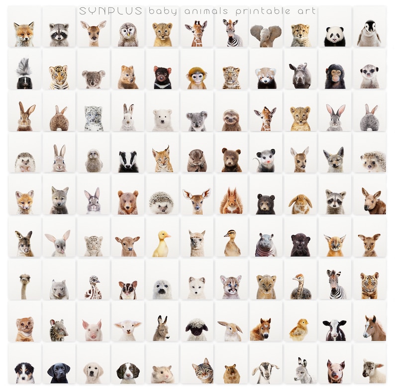 Puede incluir: Una cuadr&iacute;cula de 64 im&aacute;genes con animales beb&eacute;s, incluyendo un zorro, un mapache, un ciervo, una jirafa, una cebra, un elefante, un panda, un ping&uuml;ino, un tigre, un koala, un perezoso, un le&oacute;n, un conejo, un leopardo de las nieves, un oso polar, un canguro, un erizo, un tej&oacute;n, un lince, un oso, una zarig&uuml;eya, una ardilla, un erizo, un ciervo, una ardilla, un oso, un erizo, un ciervo, una ardilla, un oso, un erizo, un ciervo, una ardilla, un avestruz, una alpaca, un leopardo de las nieves, un ciervo, un pato, un pato, un hipop&oacute;tamo, un pantera negra, un puma, un avestruz, una cebra, un jaguar, un gato, un canguro, una oveja, un conejo, un ternero, un pato, una vaca, un perro, un perro, un gato, una cabra, un cerdo