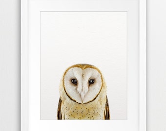 Owl Print, Woodland Nursery Decor, Nursery Art, Woodland Animals, Animal Prints, Baby Room Wall Decor, Nursery Wall Art, Kids Printable Art