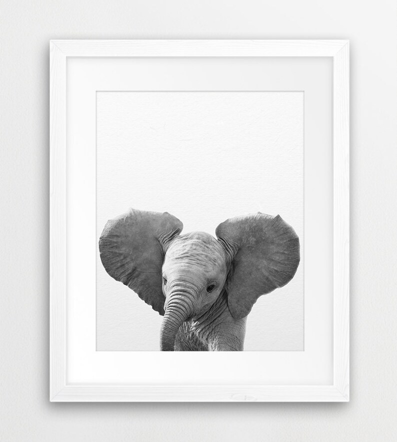Elephant Print Nursery Animal Wall Art Baby Elephant Art Etsy