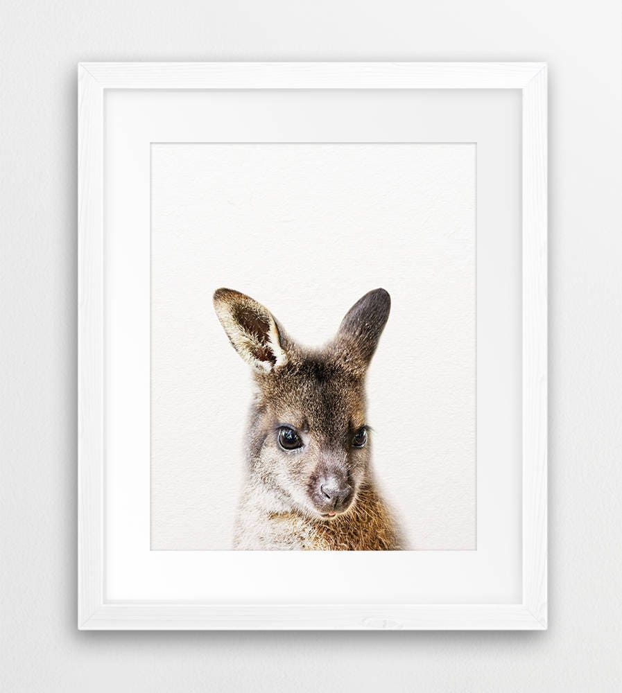 Australian Animals Print Nursery Decor Baby Animals Set 6 Etsy