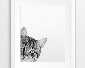 Cat Print, Cat Photo, Black And White Animal Print, Grey Cat, Domestic Animals, Modern Wall Art, Nursery Animals, Kids Room Printable Decor