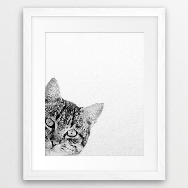 Cat Print, Cat Photo, Black And White Animal Print, Grey Cat, Domestic Animals, Modern Wall Art, Nursery Animals, Kids Room Printable Decor