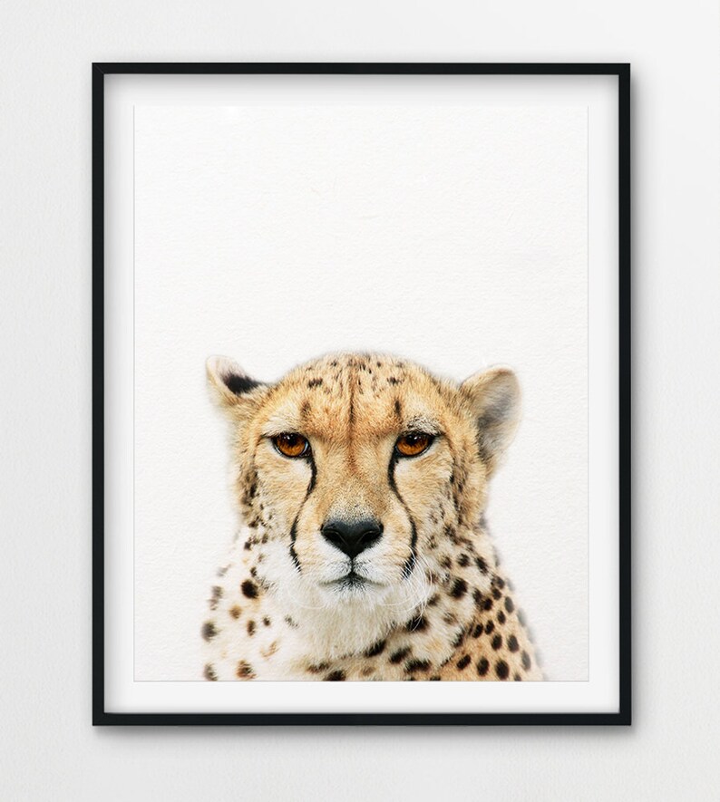 Cheetah Print Cheetah Wall Art Cheetah Photo Safari African Etsy