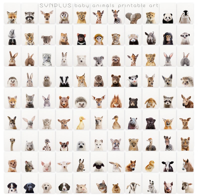 May include: A grid of 64 images featuring baby animals, including a fox, raccoon, deer, giraffe, zebra, elephant, panda, penguin, tiger, koala, sloth, lion, rabbit, snow leopard, polar bear, kangaroo, hedgehog, badger, lynx, bear, opossum, squirrel, hedgehog, deer, squirrel, bear, hedgehog, deer, squirrel, bear, hedgehog, deer, squirrel, ostrich, alpaca, snow leopard, deer, duck, duck, hippopotamus, black panther, cougar, ostrich, zebra, jaguar, cat, kangaroo, sheep, rabbit, calf, duck, cow, dog, dog, cat, goat, pig