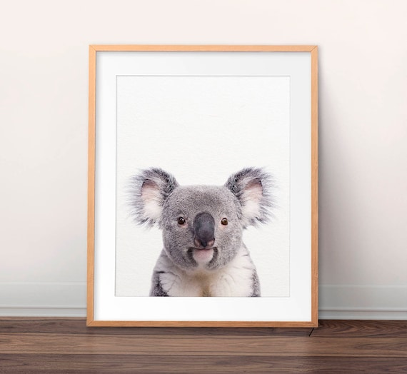 Koala Print, Koala Bear Wall Art, Nursery Decor, Animal Prints, Australian Animal, Nursery Animals, Babies Room Art, Kids Room Printable Art