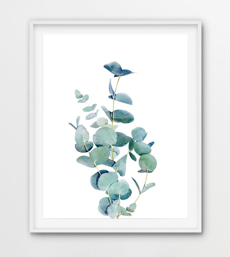 Eucalyptus Leaf Print Botanical Plant Poster Eucalyptus Wall Etsy