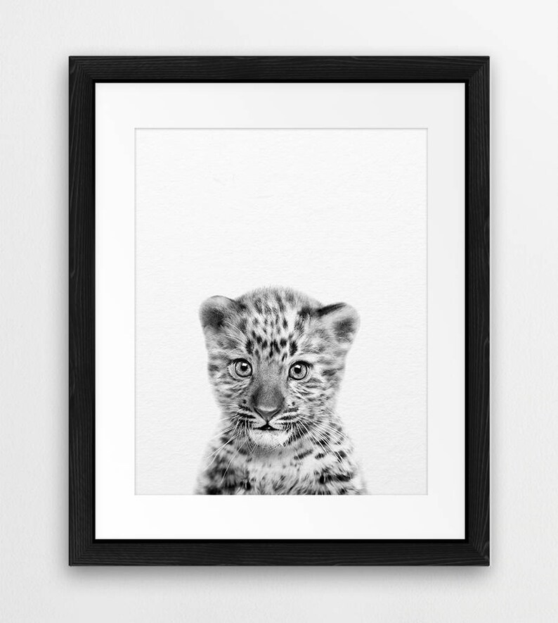 Leopard Cub Print Baby Leopard Art Forest Jungle Animal - Etsy