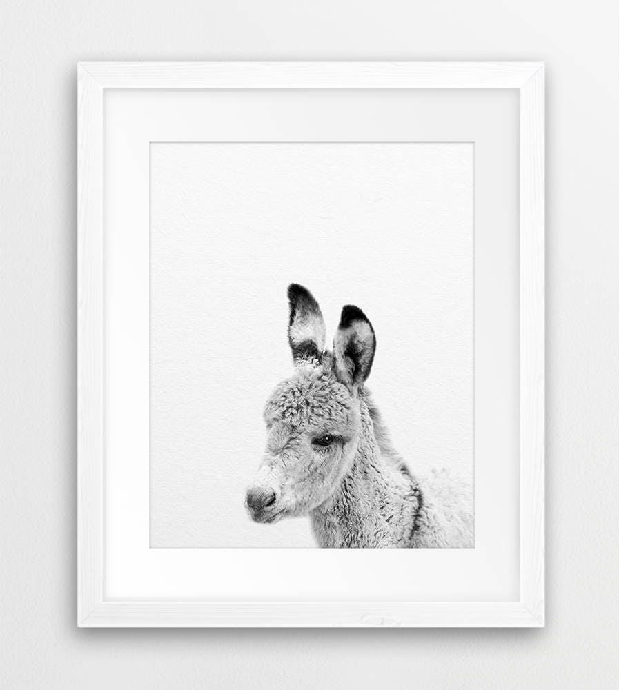 Donkey Print Baby Donkey Wall Art Nursery Decor Black & Etsy