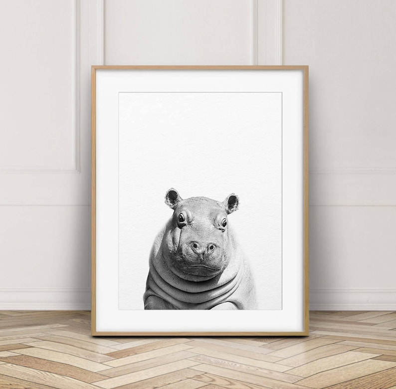 Hippo Print Baby Hippo Nursery Decor Safari Animals Baby Etsy