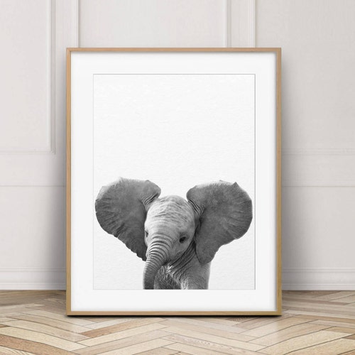 Elephant Print Nursery Animal Wall Art Baby Elephant Art Etsy