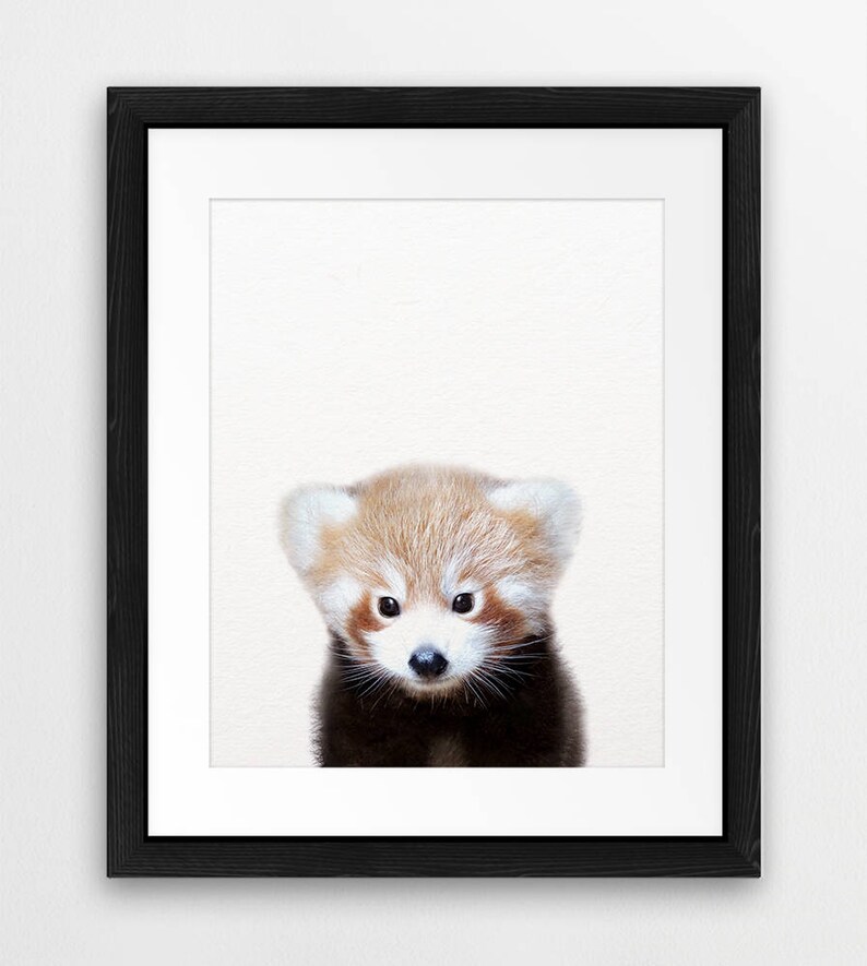 Baby Red Panda Print Nursery Decor Baby Animal Prints Etsy