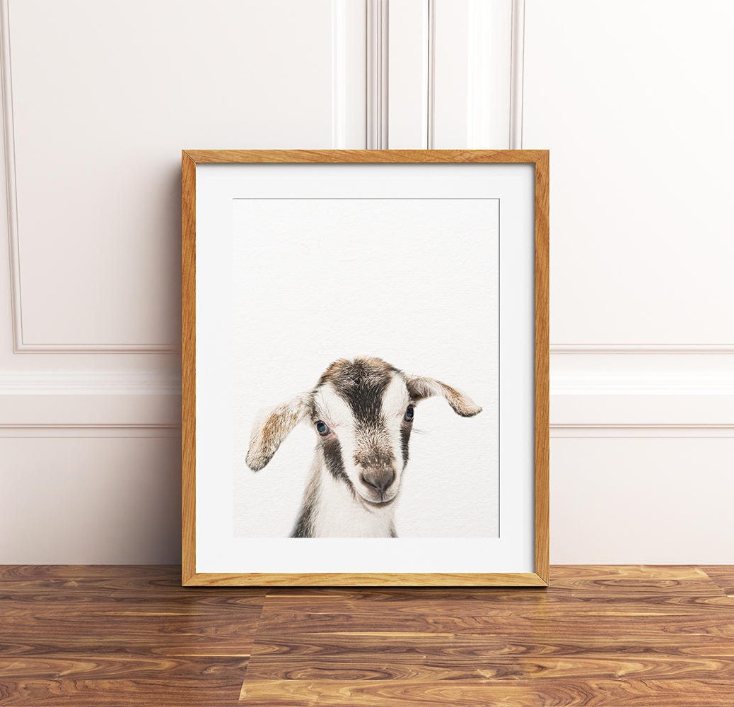 Nursery Art Goat Print Nursery Animal Wall Art Cute Baby Etsy