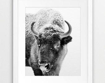 Buffalo Print, Bison Wall Art, American Bison Photo, Snow, Winter Decor, Black And White Animal, Modern Wall Art, Printable Kids Room Decor