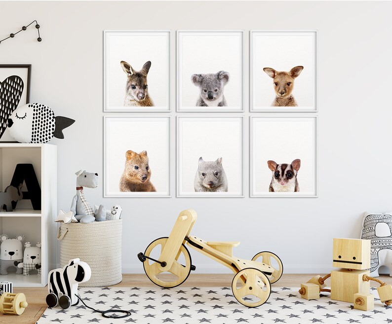 Puede incluir: Seis impresiones enmarcadas de animales australianos, incluyendo un canguro, un koala, un ciervo, un quokka, un wombat y un planeador de az&uacute;car. Las impresiones est&aacute;n dispuestas en una cuadr&iacute;cula en una pared blanca.
