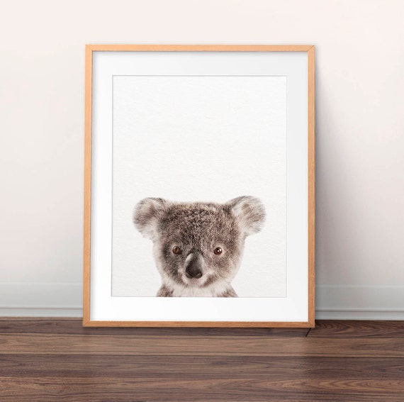 Koala Print, Baby Koala Art, Nursery Decor, Baby Animal Prints, Australian Animals, Koala Cub Print, Nursery Wall Art, Kids Room Printable