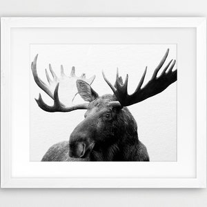 ムースの印刷可能なアート、ムースの写真の白黒、枝角のプリント、森の動物、モダンな装飾、保育園の子供の壁アート、デジタルプリント