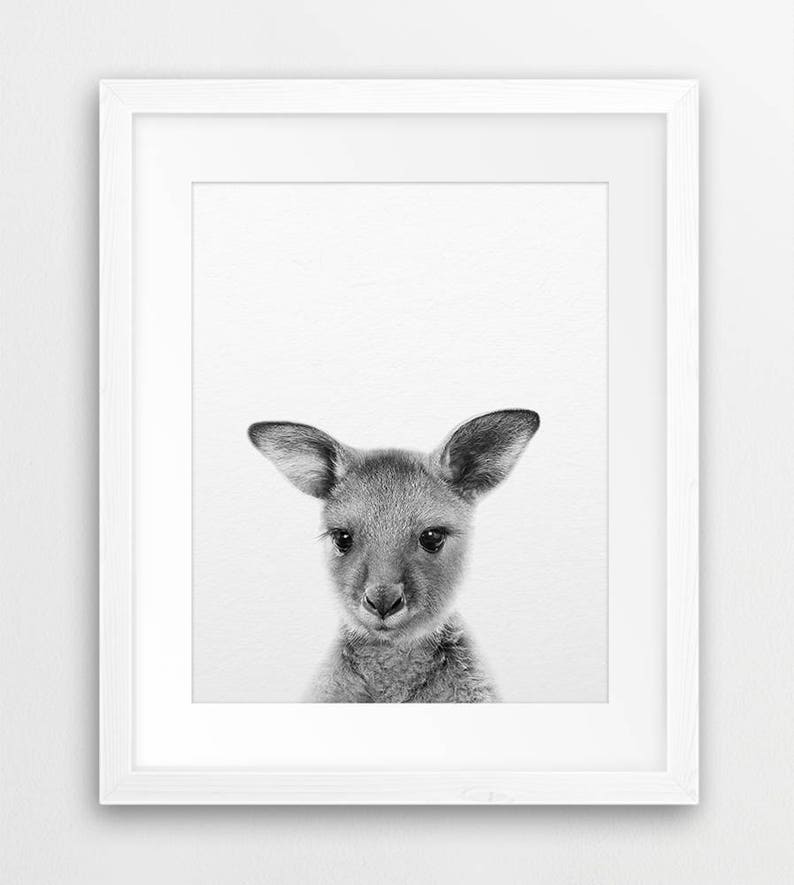 Impression de kangourou de bébé, art mignon de kangourou, art de mur de pépinière, animal australien, impressions animales noires et blanches, décor de pépinière, chambre d'enfants imprimable image 2