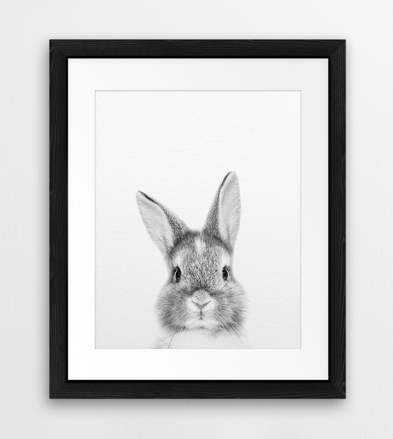 Rabbit Print Bunny Rabbit Art Black & White Baby Animals Etsy